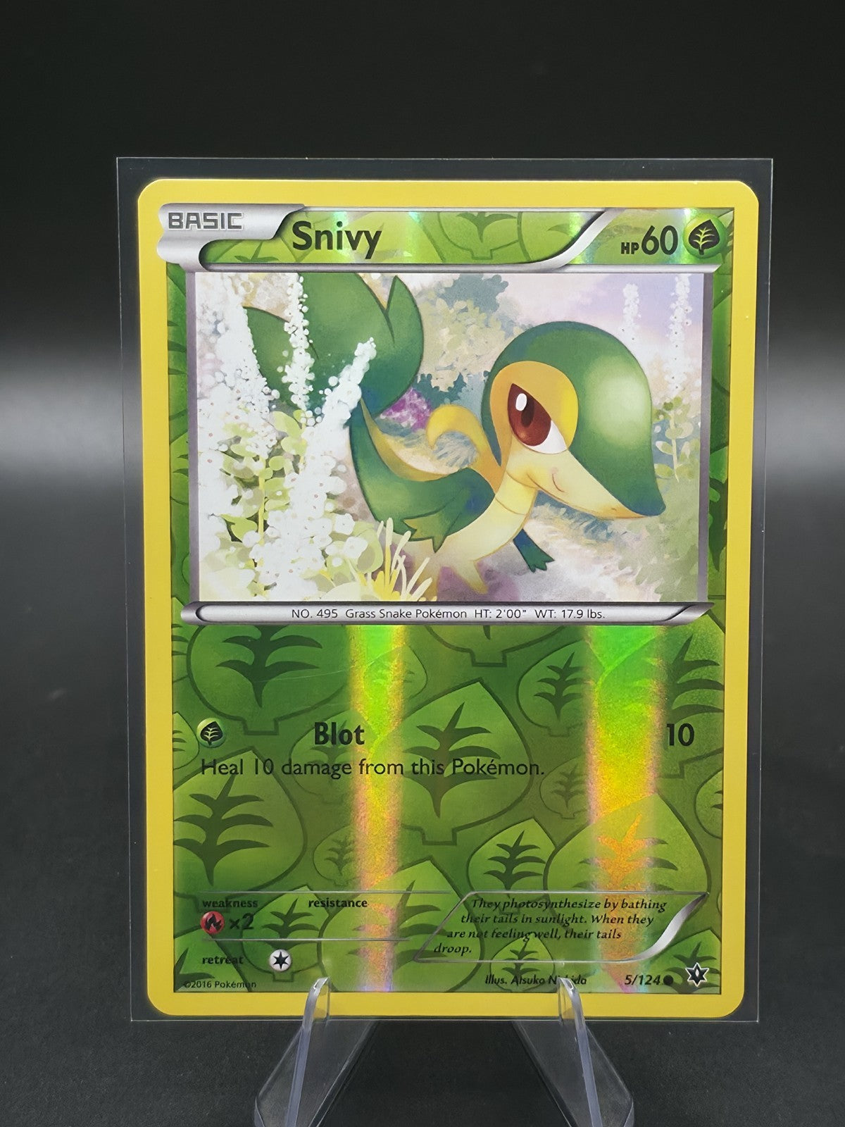 Snivy 5/124 Fates Collide Reverse Holo