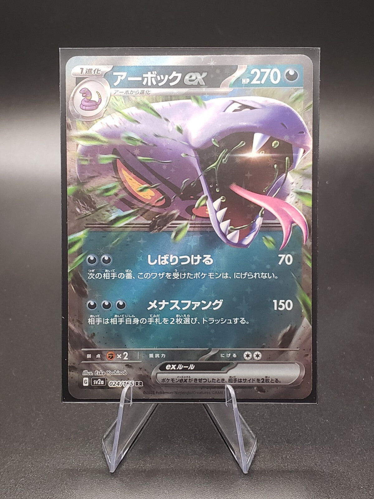 Pokemon Japanese "RR" Pack