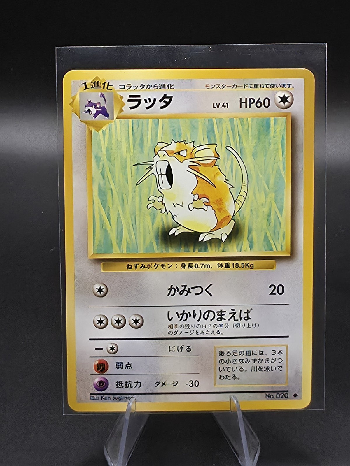 Raticate Expansion Pack Regular (Japanese)