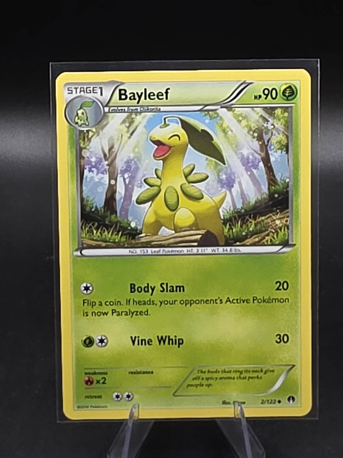 Bayleef 2/122 Breakpoint Regular
